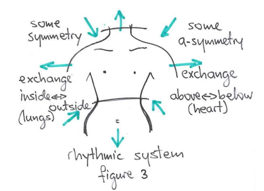 Explanatory drawing by Robert Gorter 
