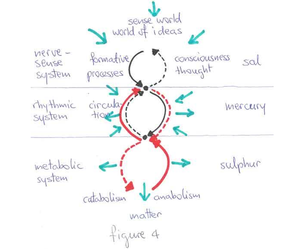 Explanatory drawing by Robert Gorter